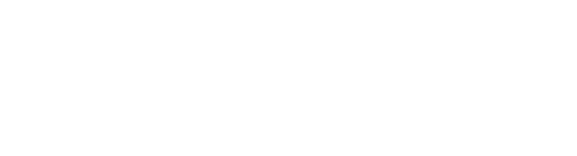 Borusan Lojistik - PEAKUP