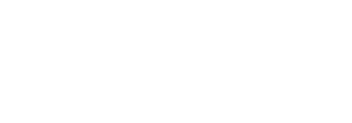 ROIVA